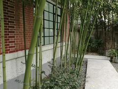 -胶囊画廊