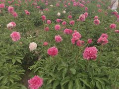 -长春世界雕塑园