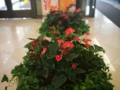 -光启城时尚购物中心