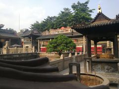 -无影脚佛山陈氏盲公丸始创店(飞鸿街店)