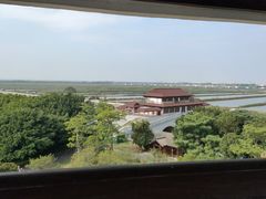 -大湾区中央湿地公园
