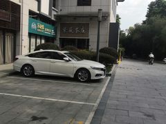 -乐派堂宠物医院·猫友好· 心脏科(东街店)