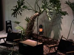 -J Create城市露营咖啡·简餐·宠物(上海动物园店)