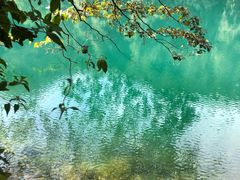-鼎湖山风景区