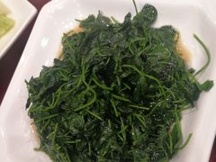 -阿莉餐厅(枣阳路店)