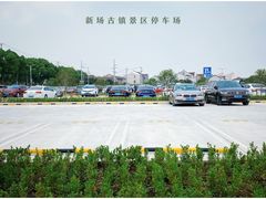 -新场古镇-停车场