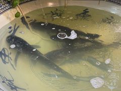-南京金牛湖巨碗鱼头
