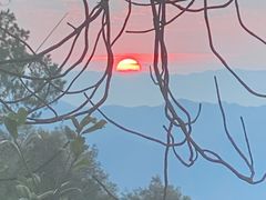 -缙云山景区