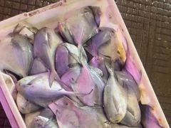 -中国舟山国际水产城