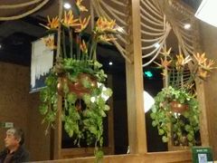 -云海肴·汽锅鸡·云南菜(天津国金汇店)