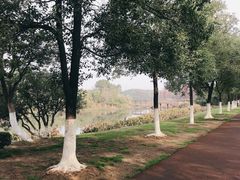 -艾溪湖湿地公园