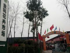 -金科花卉市场