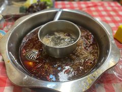 -金鼎雪山牦牛杂火锅(理县总店)