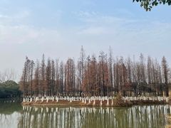 -艾溪湖湿地公园
