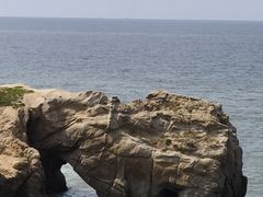 -辽宁团山国家级海洋公园