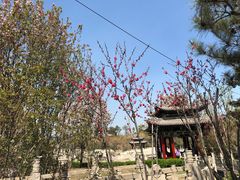 -晋祠公园