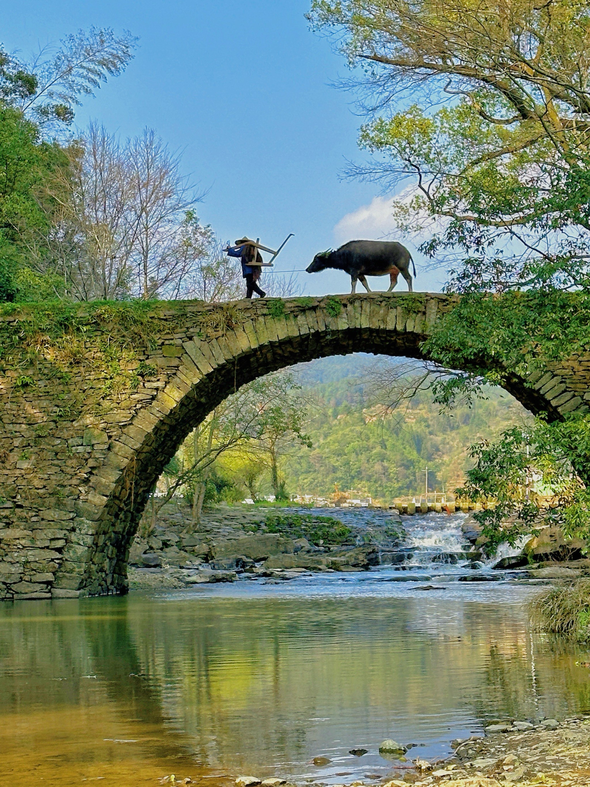 婺源的免费景点更好看山色画中游