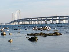 -星海广场