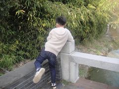 -梅岭月亮湾山体公园