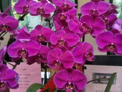 -苏州独墅湖书香世家酒店