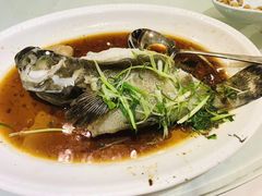 -益利大酒楼(井岸店)
