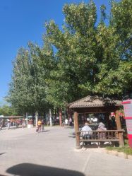 -大望京儿童游乐场