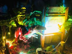 -恐龙探索乐园(磁器口店)