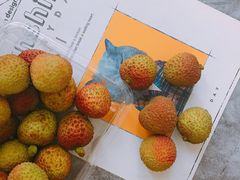 -盒马鲜生(财富领域店)