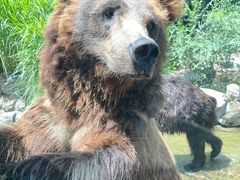 -北京野生动物园