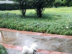 -龙头寺公园