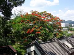 -广州神农草堂中医药博物馆