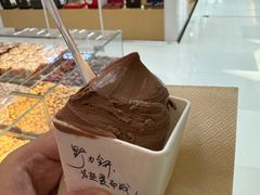 -野人先生现做冰淇淋(北京王府井东方新天地店)