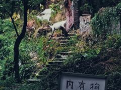-南山植物园
