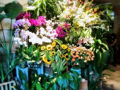 -春暖花开(西溪店)