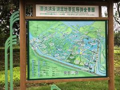 -泗洪洪泽湖湿地景区