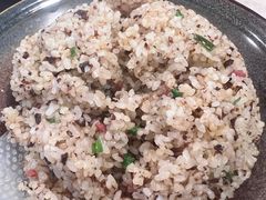 -蘑统田下·野生菌火锅