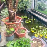 别墅里的私房菜