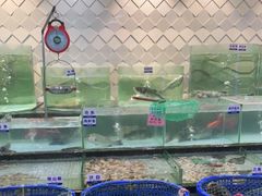 水产区-新海利海鲜城·41年珠海老字号(夏湾店)