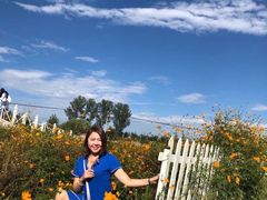 -北京东方普罗旺斯薰衣草庄园