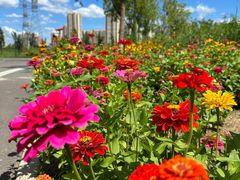 -永定河休闲森林公园