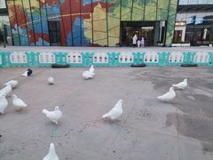 -大族广场Mall&More