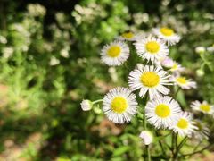 -昆山城市生态森林公园