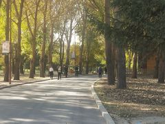 -长春公园(普阳街道)