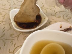 -百利鸽王(紫薇路店)