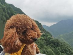 -安吉龙王山峡谷漂流