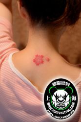 点击看大图 -越域刺青
