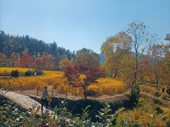 -塔川景区