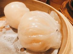 虾饺-八樂居