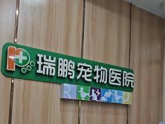-瑞鹏宠物医院·夜间急症·心超·猫科(祖庙分店)