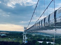 -武汉紫薇都市田园